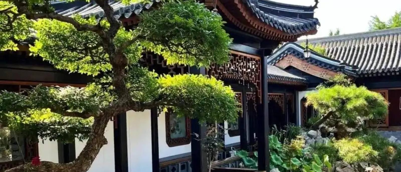 英雄联盟总决赛战队与选手栏目配图